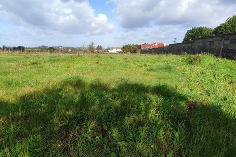 Terra a Condeixa-a-Nova, Coimbra, Condeixa-a-Nova - € 47.500 | Ref: C0372-01819 - foto 5