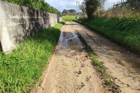 Terra a Condeixa-a-Nova, Coimbra, Condeixa-a-Nova - € 47.500 | Ref: C0372-01819 - foto 6
