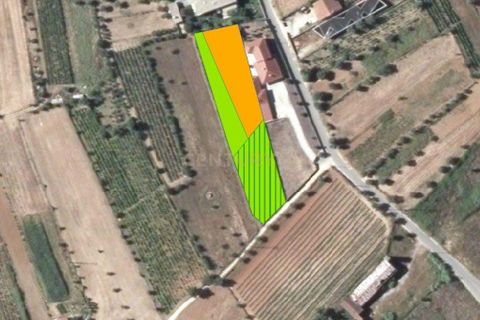 Terra a Condeixa-a-Nova, Coimbra, Condeixa-a-Nova - € 47.500 | Ref: C0372-01819 - foto 7