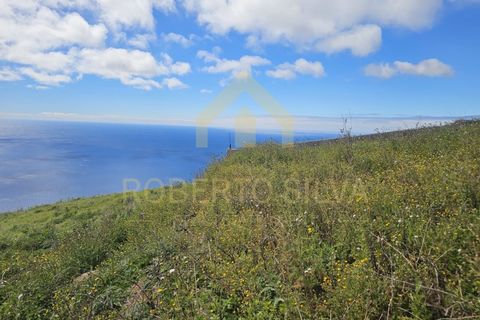 Helårsgrund i Calheta, Madeira, Calheta - € 495.000 | Ref: RS028 - foto 13