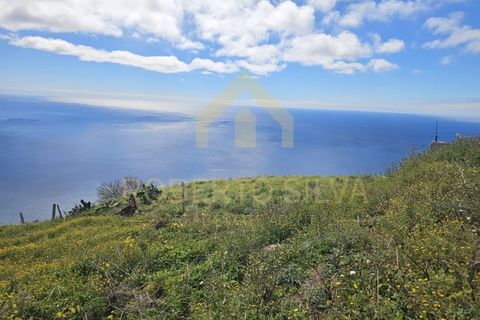 Helårsgrund i Calheta, Madeira, Calheta - € 495.000 | Ref: RS028 - foto 16