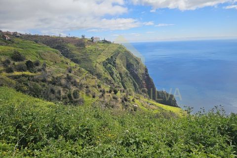 Helårsgrund i Calheta, Madeira, Calheta - € 695.000 | Ref: RS027 - foto 5