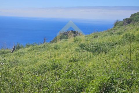 Helårsgrund i Calheta, Madeira, Calheta - € 695.000 | Ref: RS027 - foto 6