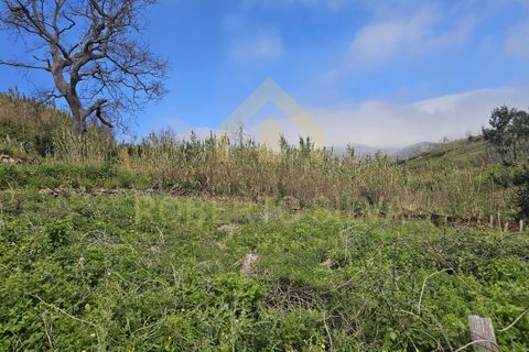 Helårsgrund i Calheta, Madeira, Calheta - € 695.000 | Ref: RS027 - foto 7