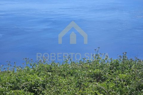 Helårsgrund i Calheta, Madeira, Calheta - € 695.000 | Ref: RS027 - foto 8