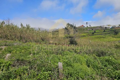 Helårsgrund i Calheta, Madeira, Calheta - € 695.000 | Ref: RS027 - foto 9