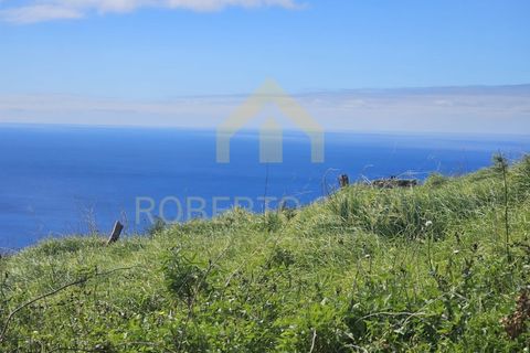 Helårsgrund i Calheta, Madeira, Calheta - € 695.000 | Ref: RS027 - foto 12