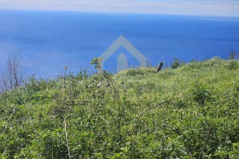 Helårsgrund i Calheta, Madeira, Calheta - € 695.000 | Ref: RS027 - foto 13