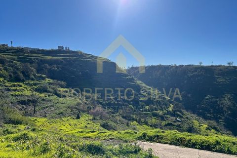 Helårsgrund i Calheta, Madeira, Calheta - € 895.000 | Ref: RS026 - foto 1