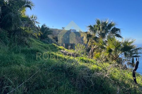 Helårsgrund i Calheta, Madeira, Calheta - € 895.000 | Ref: RS026 - foto 4
