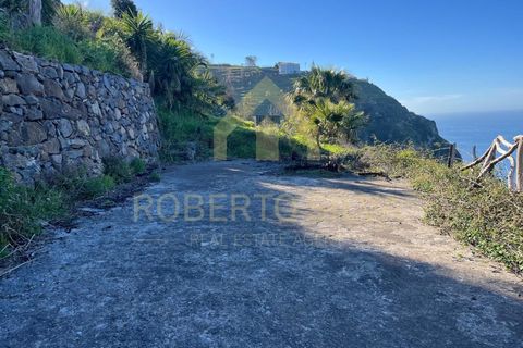 Helårsgrund i Calheta, Madeira, Calheta - € 895.000 | Ref: RS026 - foto 6