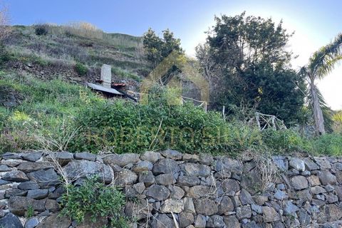 Helårsgrund i Calheta, Madeira, Calheta - € 895.000 | Ref: RS026 - foto 7