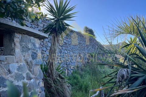 Helårsgrund i Calheta, Madeira, Calheta - € 895.000 | Ref: RS026 - foto 11