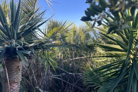 Helårsgrund i Calheta, Madeira, Calheta - € 895.000 | Ref: RS026 - foto 12