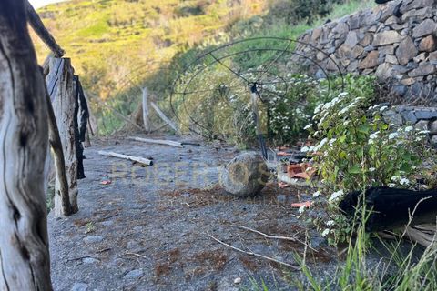 Helårsgrund i Calheta, Madeira, Calheta - € 895.000 | Ref: RS026 - foto 13