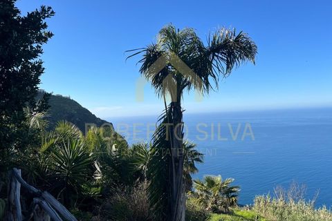 Helårsgrund i Calheta, Madeira, Calheta - € 895.000 | Ref: RS026 - foto 14