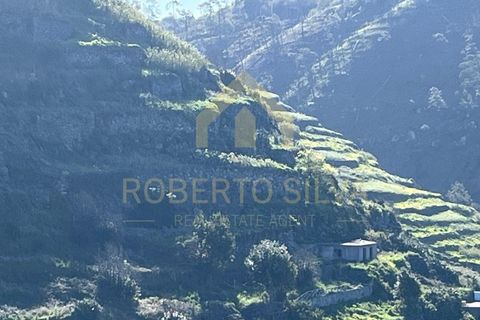 Helårsgrund i Calheta, Madeira, Calheta - € 895.000 | Ref: RS026 - foto 17