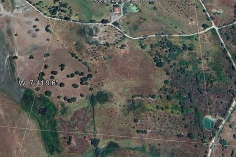 Terra a Crato, Portalegre, Crato - € 75.000 | Ref: KWPT-028644 - foto 2