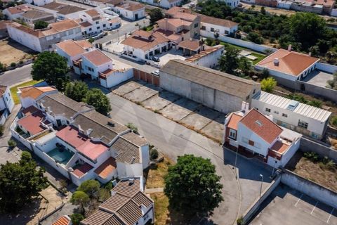 Terra a Alpiarca, Santarem, Alpiarca - € 49.950 | Ref: KWPT-022830 - foto 4