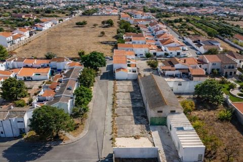 Terra a Alpiarca, Santarem, Alpiarca - € 49.950 | Ref: KWPT-022830 - foto 6