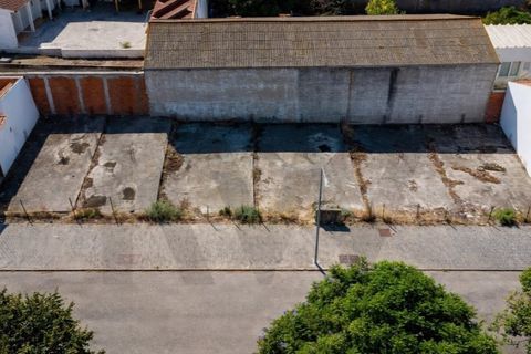 Terra a Alpiarca, Santarem, Alpiarca - € 49.950 | Ref: KWPT-022830 - foto 11