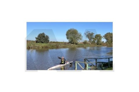 Terra a Alpiarca, Santarem, Alpiarca - € 49.950 | Ref: KWPT-022830 - foto 20