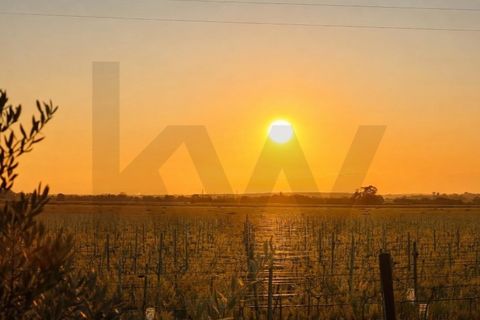 Terra a Alpiarca, Santarem, Alpiarca - € 49.950 | Ref: KWPT-022830 - foto 24