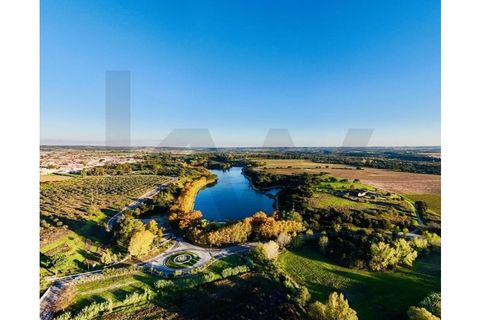 Terra a Alpiarca, Santarem, Alpiarca - € 49.250 | Ref: KWPT-022829 - foto 6