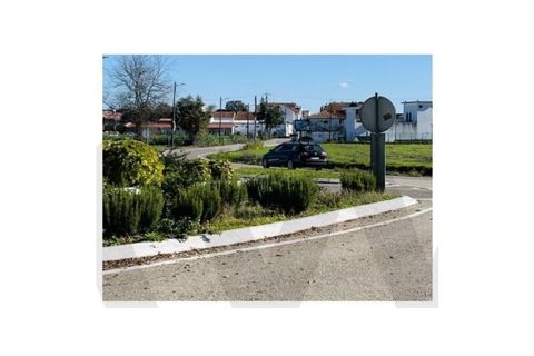 Terra a Alpiarca, Santarem, Alpiarca - € 49.250 | Ref: KWPT-022829 - foto 17