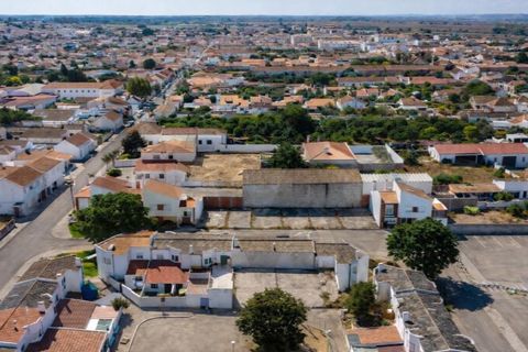 Terra a Alpiarca, Santarem, Alpiarca - € 49.250 | Ref: KWPT-022829 - foto 32