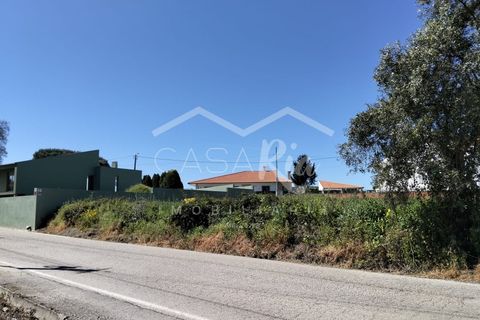 Helårsgrund i Aveiro, Aveiro, Aveiro - € 120.000 | Ref: CREC1024 - foto 4