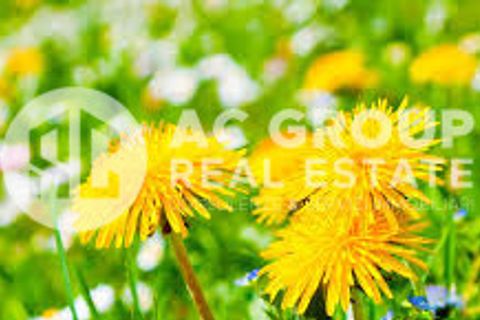 Helårsgrund i Cesate, Milan, Cesate - € 70.000 | Ref: terreno.cesate.r - foto 6