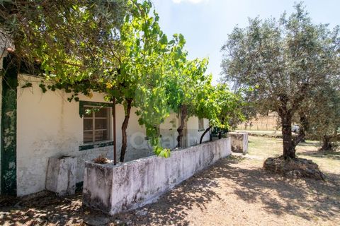 Villa a Portalegre, Portalegre, Portalegre - € 150.000 | Ref: QRACG2413 - foto 3