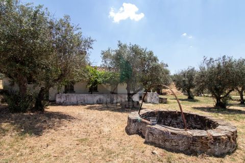 Villa a Portalegre, Portalegre, Portalegre - € 150.000 | Ref: QRACG2413 - foto 20