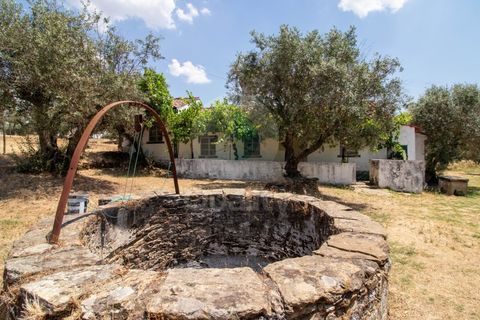 Villa a Portalegre, Portalegre, Portalegre - € 150.000 | Ref: QRACG2413 - foto 21