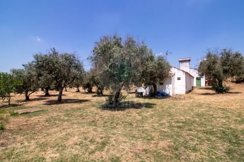 Villa a Portalegre, Portalegre, Portalegre - € 150.000 | Ref: QRACG2413 - foto 22