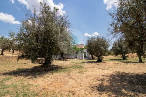 Villa a Portalegre, Portalegre, Portalegre - € 150.000 | Ref: QRACG2413 - foto 23