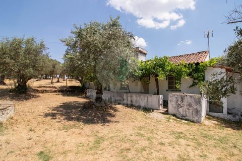 Villa a Portalegre, Portalegre, Portalegre - € 150.000 | Ref: QRACG2413 - foto 26