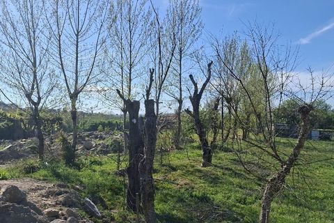 Byhus i Braga, Braga, Braga - € 307.000 | Ref: 212159 - foto 10