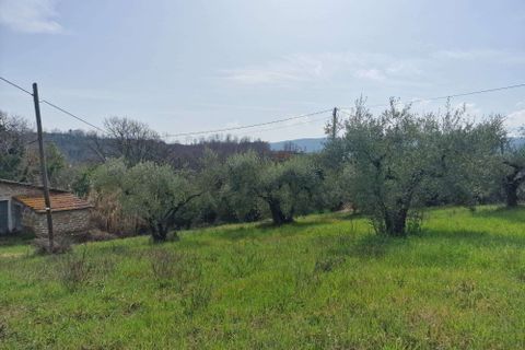 Villa a Montecastrilli, Terni, Montecastrilli - € 15.000 | Ref: CasteldellAquila002-1025324 - foto 15