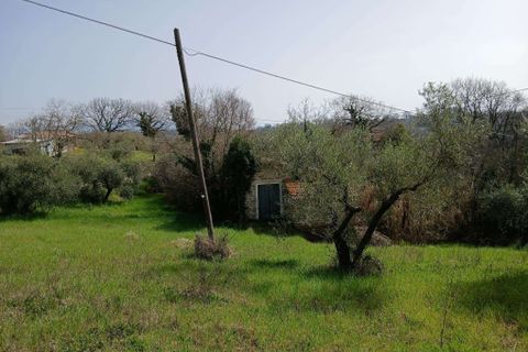 Villa a Montecastrilli, Terni, Montecastrilli - € 15.000 | Ref: CasteldellAquila002-1025324 - foto 16