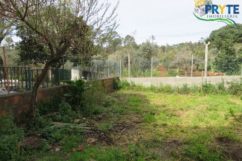 Villa i Serta, Castelo Branco, Serta - € 159.000 | Ref: AA341 - foto 5