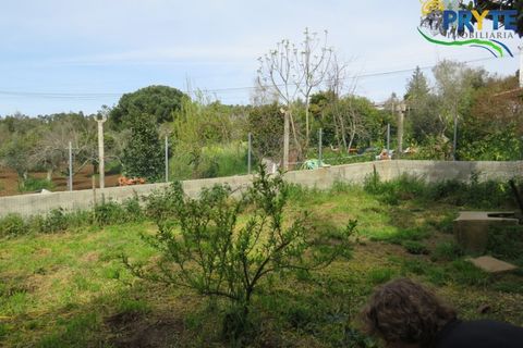 Villa i Serta, Castelo Branco, Serta - € 159.000 | Ref: AA341 - foto 6