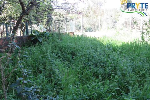 Villa i Serta, Castelo Branco, Serta - € 159.000 | Ref: AA341 - foto 36