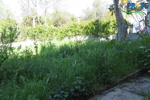 Villa i Serta, Castelo Branco, Serta - € 159.000 | Ref: AA341 - foto 37