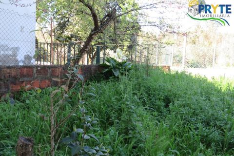 Villa i Serta, Castelo Branco, Serta - € 159.000 | Ref: AA341 - foto 39
