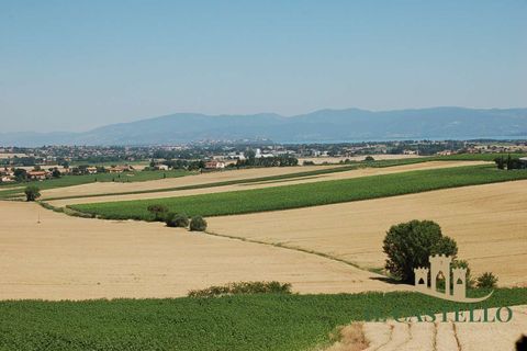 Villa a Paciano, Perugia, Paciano - € 80.000 | Ref: TE117-1038691 - foto 3