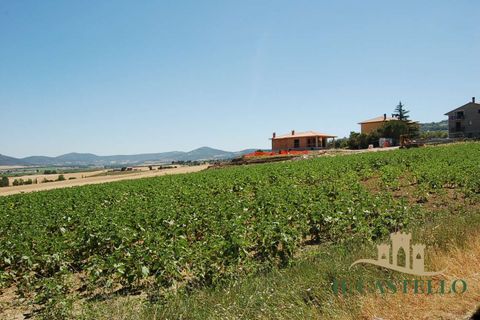 Villa a Paciano, Perugia, Paciano - € 80.000 | Ref: TE117-1038691 - foto 4