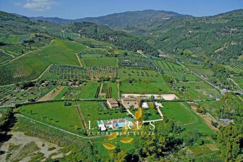 Villa in Florence, Florence, Florence - € 2.500.000 | Ref: LA-5600-1040655 - foto 7
