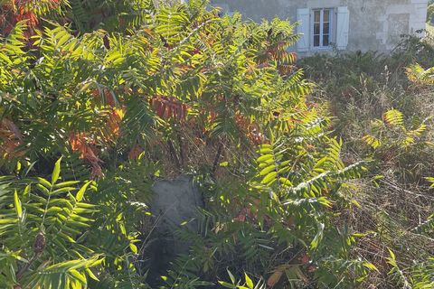 Villa i Rochefort, Charente-Maritime, Rochefort - € 517.000 | Ref: 44487 - foto 8